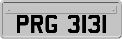 PRG3131