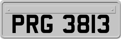 PRG3813