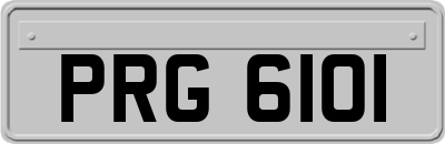 PRG6101