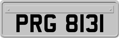 PRG8131