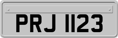 PRJ1123