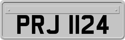 PRJ1124