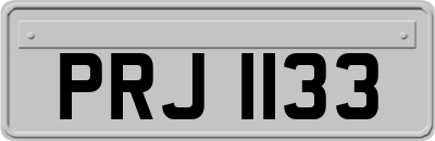 PRJ1133