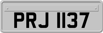 PRJ1137