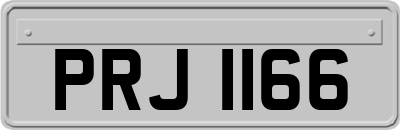 PRJ1166