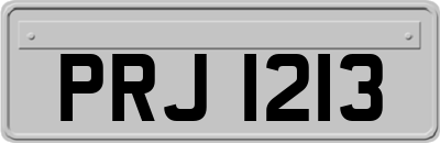 PRJ1213
