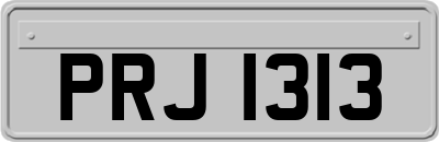 PRJ1313