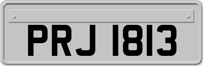 PRJ1813
