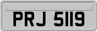 PRJ5119