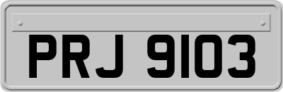 PRJ9103