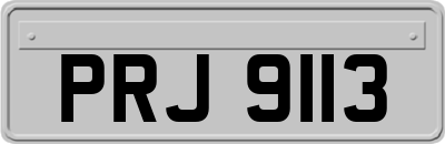 PRJ9113