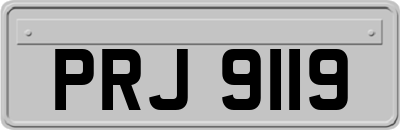 PRJ9119