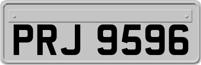 PRJ9596