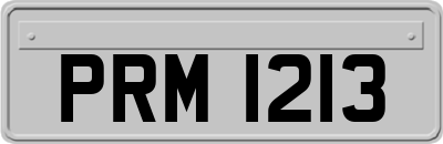 PRM1213