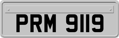 PRM9119