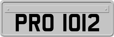 PRO1012