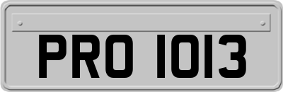 PRO1013