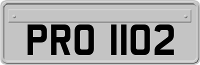 PRO1102