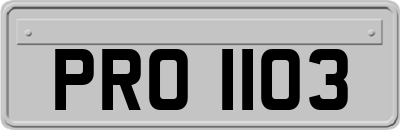 PRO1103