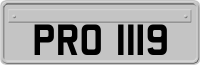 PRO1119