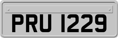 PRU1229