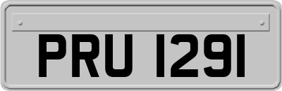 PRU1291