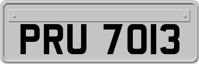 PRU7013