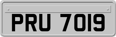 PRU7019