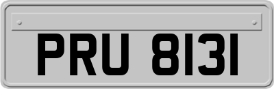 PRU8131