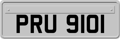 PRU9101