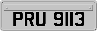 PRU9113