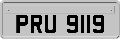 PRU9119