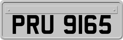 PRU9165