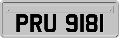 PRU9181