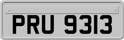 PRU9313