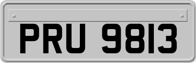 PRU9813