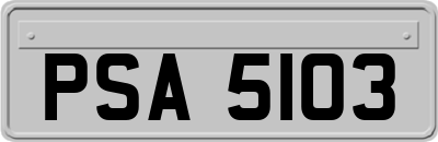 PSA5103