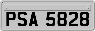 PSA5828