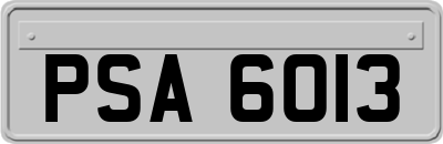 PSA6013