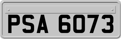 PSA6073