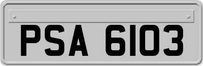 PSA6103