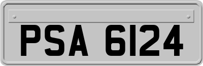 PSA6124