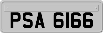 PSA6166