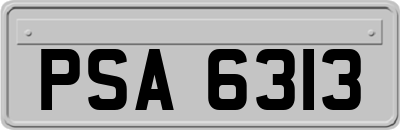 PSA6313