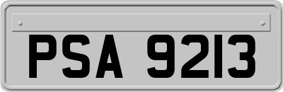 PSA9213