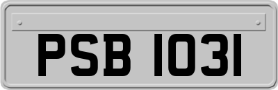 PSB1031