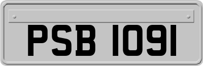 PSB1091