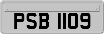 PSB1109