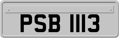 PSB1113