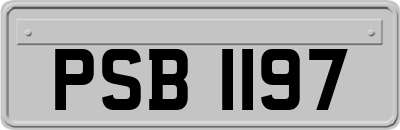 PSB1197